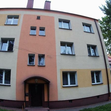 Apartmán Studio Skarzyko Kamienna Skarżysko-Kamienna Exteriér fotografie